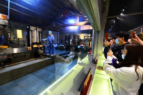 道不盡齊魯糧油好 走進(jìn)山歌，聽百年油坊唱響的時(shí)代新韻